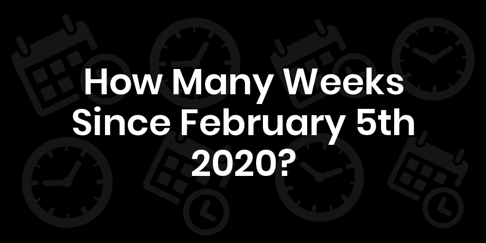 how-many-weeks-since-february-5-2020-datedatego